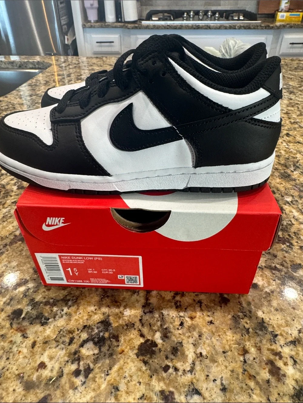 Kids black and white Nike dunks